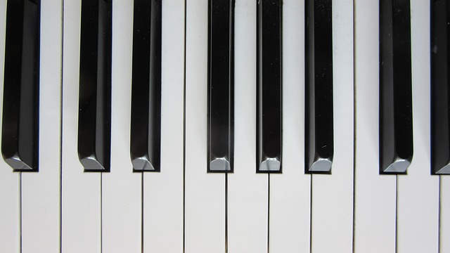ピアノ初心者の大人が買うなら鍵盤のキーボードか電子ピアノで十分な理由 無料音楽素材 Suzu